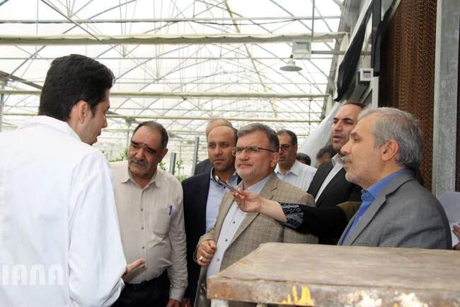 بازدید معاون امور باغبانی وزیر جهاد کشاورزی از پروژه های کشاورزی شهرستان پیشوا