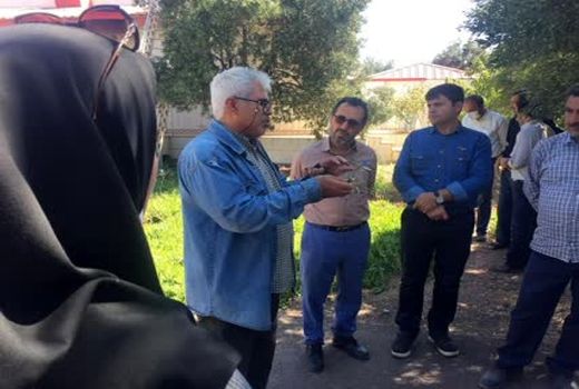 برگزاری روز انتقال یافته های تحقیقاتی زیتون در منطقه طارم سفلی