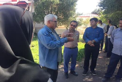 برگزاری روز انتقال یافته های تحقیقاتی زیتون در منطقه طارم سفلی
