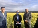 بازدید رییس سازمان جهاد کشاورزی خراسان جنوبی و هیئت همراه از مزارع شهرستان خوسف