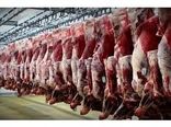 تولید 1000 تن گوشت قرمز در محمودآباد/درآمد 2370 میلیاردی