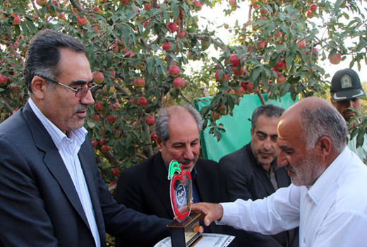  ۱۵ درصد محصولات سردرختی آذربایجان شرقی در اهر تولید می شود