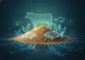 تزریق نقدینگی به ایده‌های فناورانه در زنجیره تأمین پروتئین
