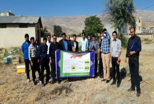 برگزاری کلاس پرورش زنبور عسل و استحصال فرآورده‌های جانبی 