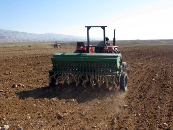 بیش از ۲۵ هزار هکتار جو در کردستان کشت شد
