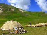 پرداخت ۲۰۰ میلیارد تومان تسهیلات برای حمایت از زنجیره گوشت قرمز عشایر