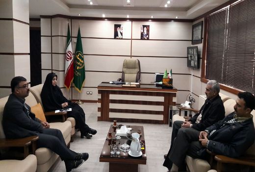 طرح افزایش عملکرد گندم دیم استان قزوین الگوی مناسبی برای توسعه کشت غلات است