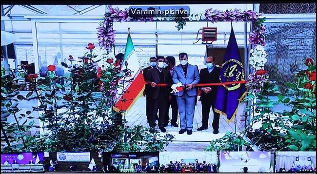 161268489136150200