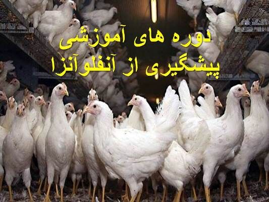 دوره‌های آموزشی پیشگیری از آنفولانزای پرندگان 
