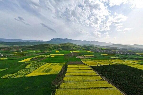 هزار هکتار اراضی غیر ملی در شهرستان دشتستان تثبیت شد