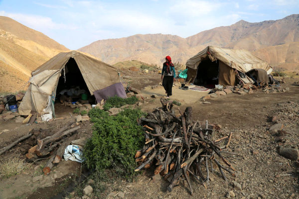 آغاز پاییزه عشایر استان قزوین 