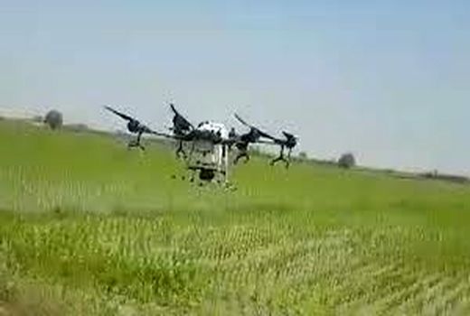 توزیع بیش از 800 لیتر سم حشره کش دورسبان در خوزستان