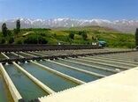 لزوم تکثیر تخم بچه ماهی اصلاح شده برای قطع وابستگی