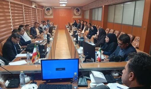 تأکید بر وحدت رویه در توسعه زنجیره گیاهان دارویی کهگیلویه و بویراحمد/ لزوم تدوین طرح توجیهی واحد
