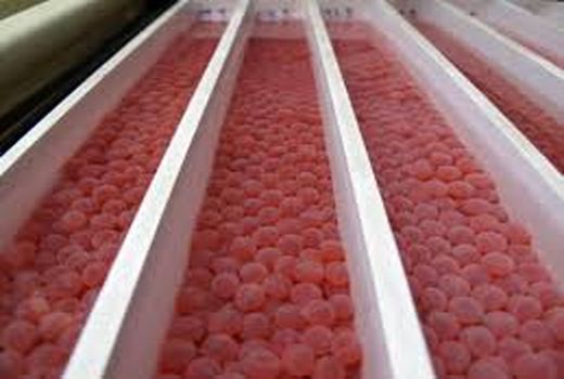 آغاز فصل تولید تخم چشم زده قزل آلا در اصفهان