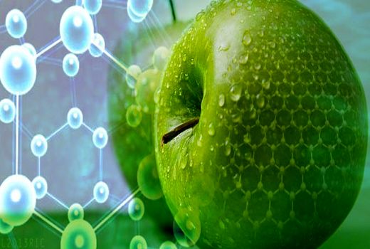 برگزاری دوره آموزشی فناوری نانو در کشاورزی؛ دستاوردها و کاربردها