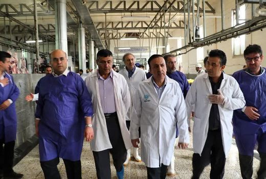 بازدید استاندار قزوین از کشتارگاه صنعتی دام قزوین دشت بره در شهرستان بوئین‌زهرا 