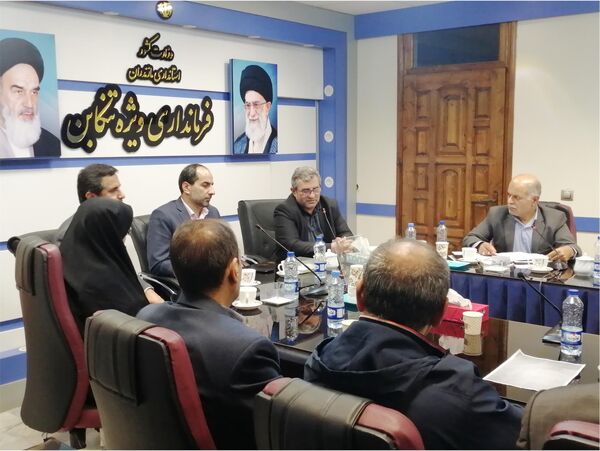 راه اندازی زنجیره کیوی در غرب مازندران/ به صنایع تبدیلی کیوی توجه نشد