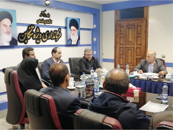 راه اندازی زنجیره کیوی در غرب مازندران/ به صنایع تبدیلی کیوی توجه نشد