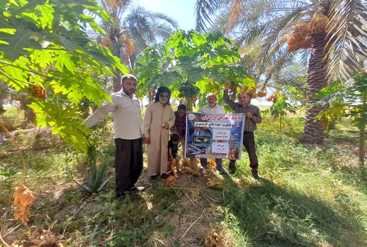 ترویج کشت میوه‌های گرمسیری در آبادان 