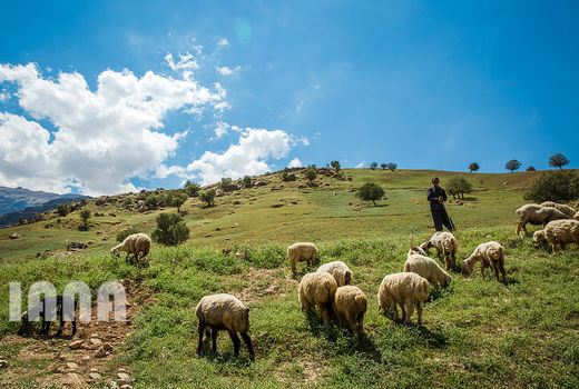 طبیعت زیبای دهدز 