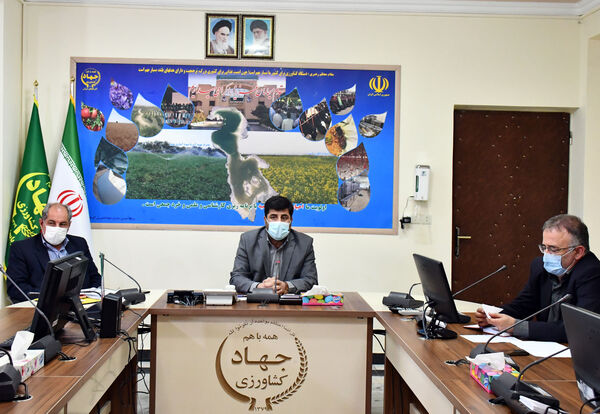 لزوم رصد و پایش مزارع گندم استان آذربایجان شرقی از لحاظ آفات و بیماری‌ها