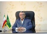 95 درصد برداشت برنج مکانیزه است/ افزایش 10 درصدی تولید برنج