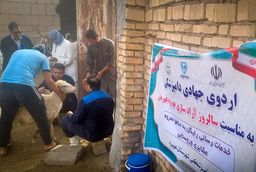 پیشگیری از بروز بیماری‌های واگیردار دامی در هویزه