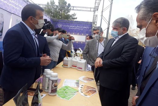 راه‌اندازی مزرعه نوآوری توسط وزارت جهاد کشاورزی