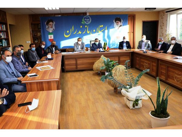 6 هزار و 100 هکتار قرارداد کشت برنج در مازندران