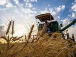برداشت محصول جو در اراضی استان گیلان آغاز شد
