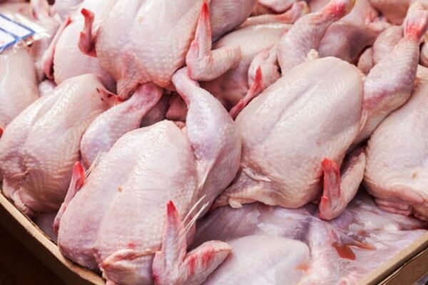 توزیع ۴۲۰۰ تن گوشت مرغ گرم در فروردین ماه سال جاری در آذربایجان غربی  