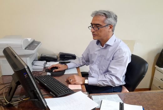 بررسی زمان مناسب برداشت میوه کیوی رقم هایوارد 