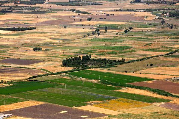 ۱۲۰هزار هکتار از اراضی زراعی و باغی چهارمحال و بختیاری تحت پوشش بیمه کشاورزی قرار گرفت