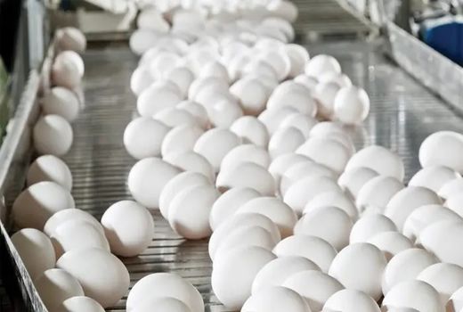 وزارت جهاد کشاورزی با اقدامات جامع بازار تخم‌مرغ را تنظیم می‌کند