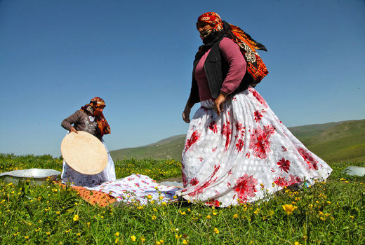 اعتبارات عشایر کشور ۲۰ درصد افزایش یافت