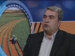 توزیع ۸۰۰ تن کالای اساسی در کهگیلویه و بویراحمد از زمان آغاز جنگ
