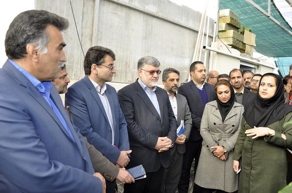 بازدید استاندار و رییس سازمان از مجتمع گلخا نه ای شهرستان خوسف