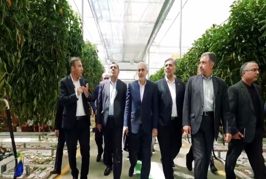 بازدید اعضای کمیسیون اجتماعی مجلس از بزرگترین گلخانه خاورمیانه در جلفا