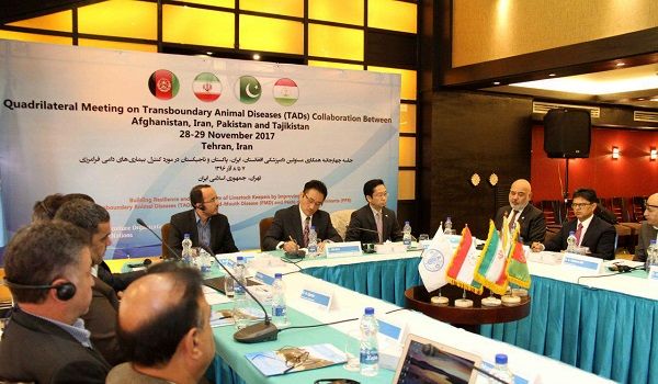 فائو خواستار همکاری گسترده افغانستان، ایران، پاکستان و تاجیکستان در مبارزه با بیماری‌های دامی فرامرزی شد