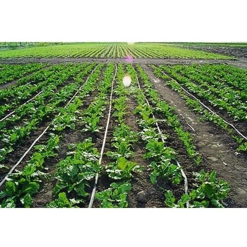 تجهیز 3811 هکتار از اراضی کشاورزی آذربایجان غربی به سیستم‌های آبیاری نوین