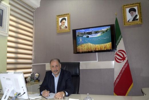 تولید کیت تشخیص سریع بیماری بورخلدریا زعفران