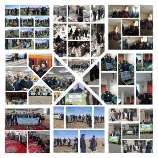 بهره مندی 2900 نفر از بهره برداران شهرستان تاکستان از آموزش های ترویجی