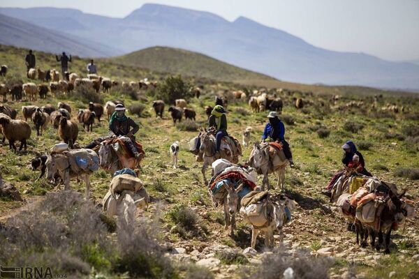 مدیرکل امور عشایری خراسان شمالی