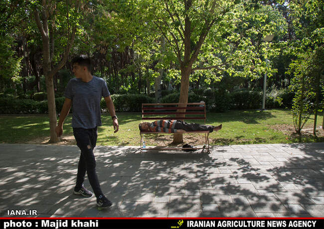 استراحت در فضای سبز شهری