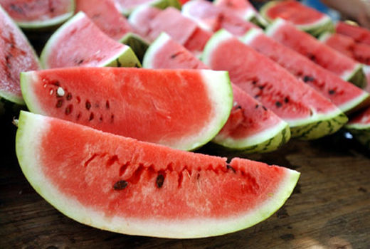 کشت صیفی جات در زمین های فیروزآباد آغاز شد 