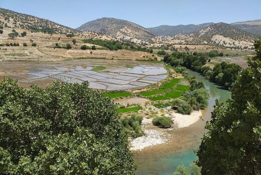 چیتاب، بهشت پنهان کشاورزی ایران به روایت شکرانه