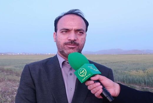 استان مرکزی پیشرو در تولید آرد کامل در کشور است/ تولید سالانه ۱۳۰ هزار تن آرد یارانه‌دار