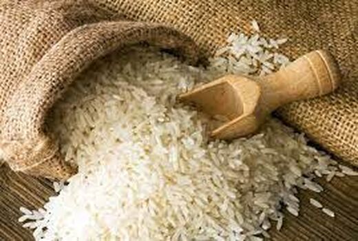توزیع ۶۰ تن برنج وارداتی در شهرستان دامغان