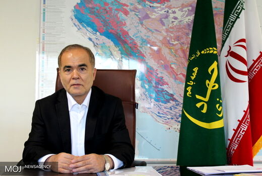 امسال بیش از ۵ هزار تن کلزا از مزارع استان همدان برداشت می شود